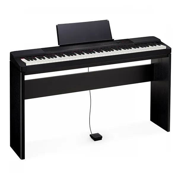 Music City – Tổng Kho Piano, Guitar, Organ | Dịch Vụ Giáo Dục Âm Nhạc
