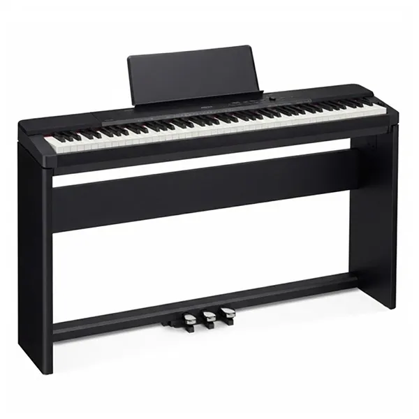 Music City – Tổng Kho Piano, Guitar, Organ | Dịch Vụ Giáo Dục Âm Nhạc
