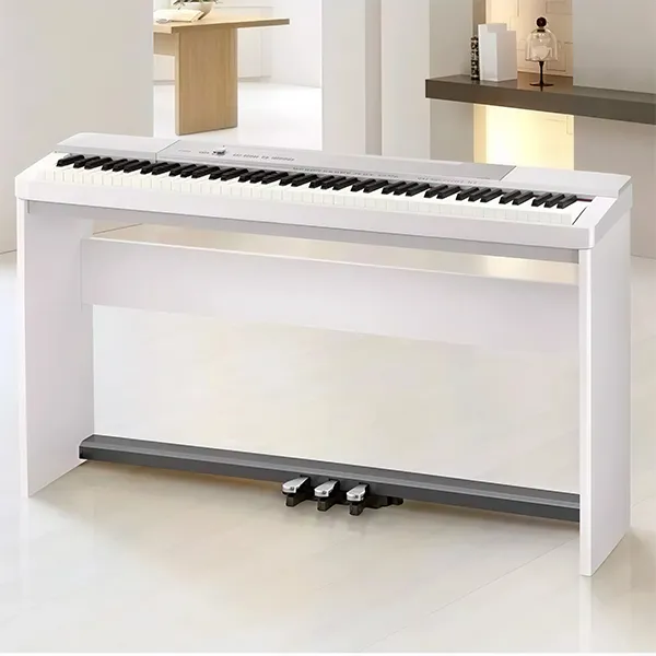 Music City – Tổng Kho Piano, Guitar, Organ | Dịch Vụ Giáo Dục Âm Nhạc