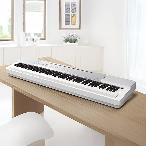 Music City – Tổng Kho Piano, Guitar, Organ | Dịch Vụ Giáo Dục Âm Nhạc