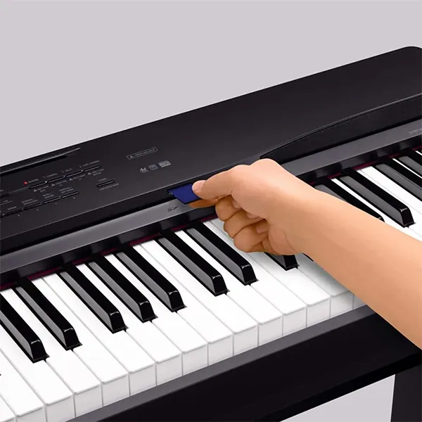 Music City – Tổng Kho Piano, Guitar, Organ | Dịch Vụ Giáo Dục Âm Nhạc