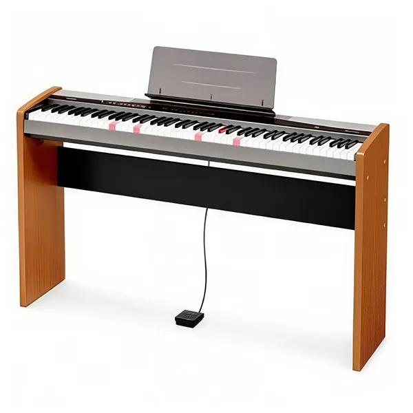 Music City – Tổng Kho Piano, Guitar, Organ | Dịch Vụ Giáo Dục Âm Nhạc