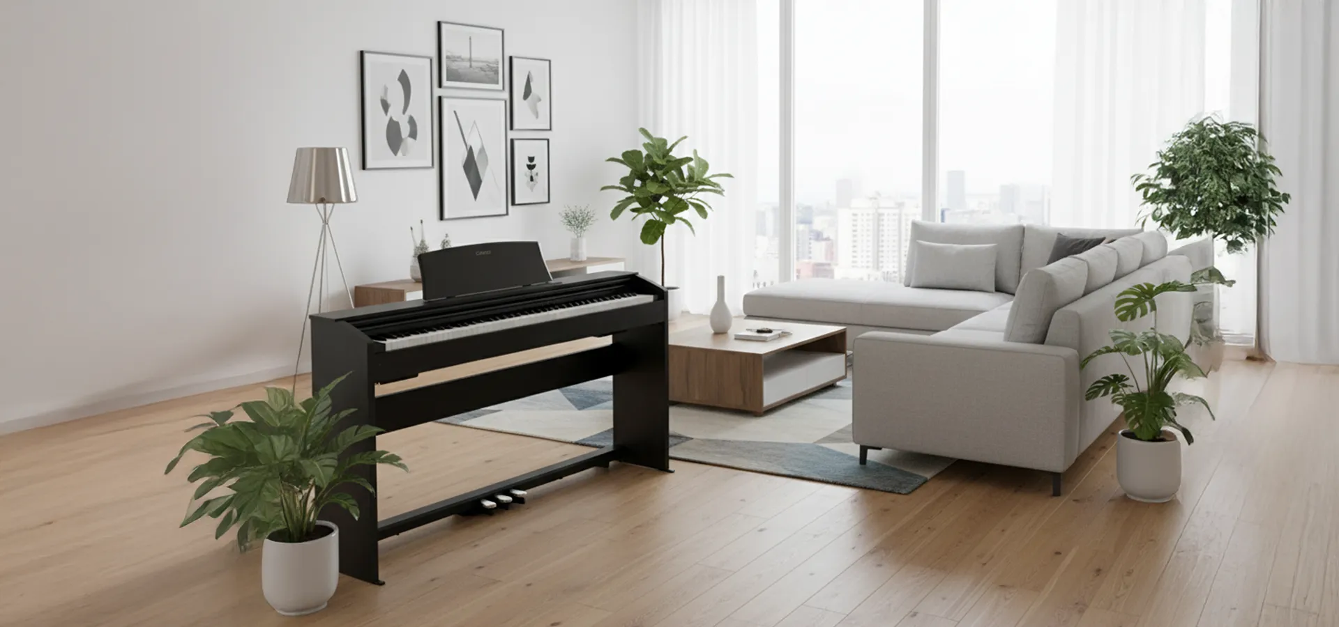 Music City – Tổng Kho Piano, Guitar, Organ | Dịch Vụ Giáo Dục Âm Nhạc