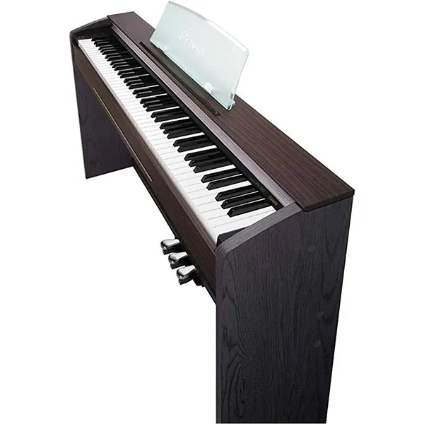 Music City – Tổng Kho Piano, Guitar, Organ | Dịch Vụ Giáo Dục Âm Nhạc