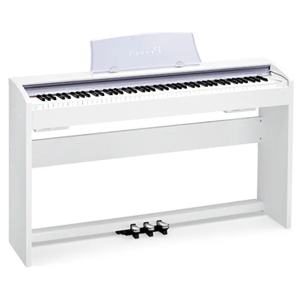 Music City – Tổng Kho Piano, Guitar, Organ | Dịch Vụ Giáo Dục Âm Nhạc