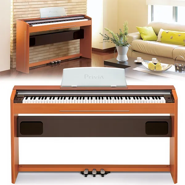 Music City – Tổng Kho Piano, Guitar, Organ | Dịch Vụ Giáo Dục Âm Nhạc