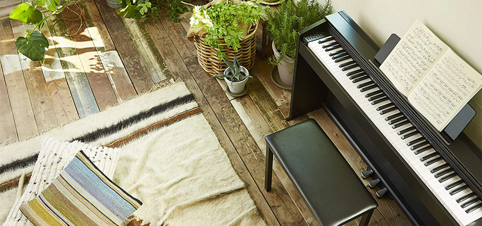 Music City – Tổng Kho Piano, Guitar, Organ | Dịch Vụ Giáo Dục Âm Nhạc