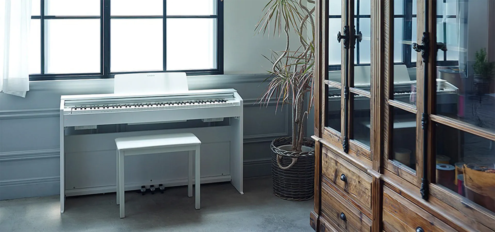 Music City – Tổng Kho Piano, Guitar, Organ | Dịch Vụ Giáo Dục Âm Nhạc