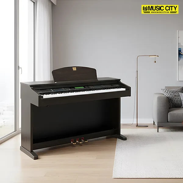 Music City – Tổng Kho Piano, Guitar, Organ | Dịch Vụ Giáo Dục Âm Nhạc