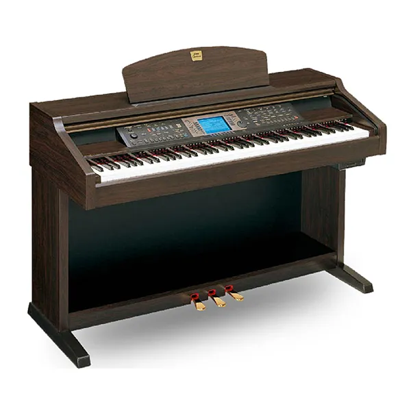Music City – Tổng Kho Piano, Guitar, Organ | Dịch Vụ Giáo Dục Âm Nhạc