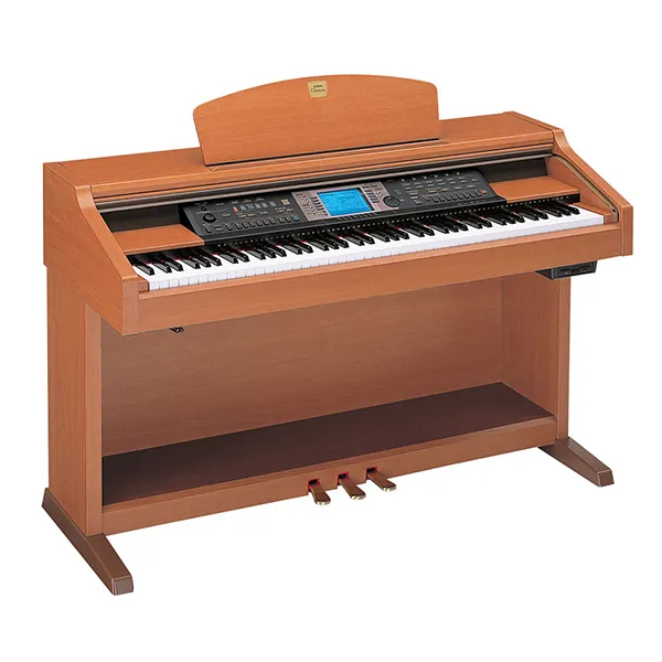 Music City – Tổng Kho Piano, Guitar, Organ | Dịch Vụ Giáo Dục Âm Nhạc