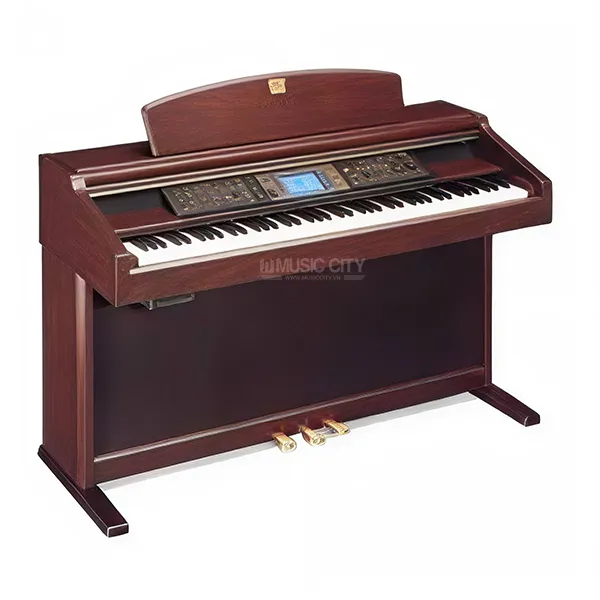 Music City – Tổng Kho Piano, Guitar, Organ | Dịch Vụ Giáo Dục Âm Nhạc