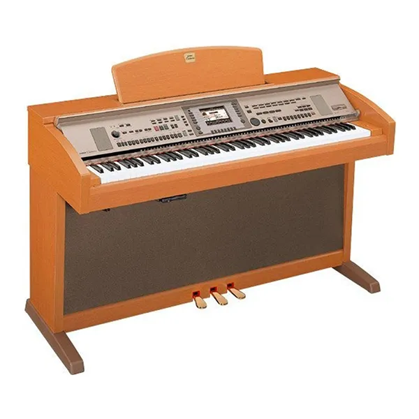 Music City – Tổng Kho Piano, Guitar, Organ | Dịch Vụ Giáo Dục Âm Nhạc
