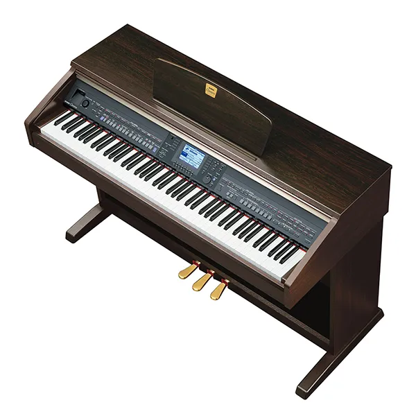 Music City – Tổng Kho Piano, Guitar, Organ | Dịch Vụ Giáo Dục Âm Nhạc