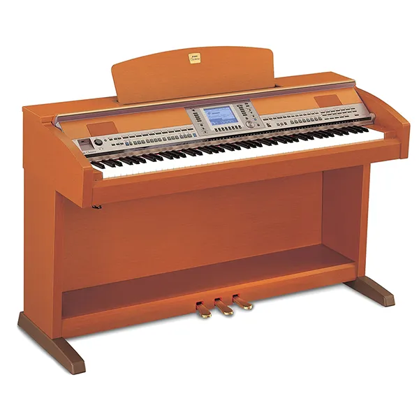 Music City – Tổng Kho Piano, Guitar, Organ | Dịch Vụ Giáo Dục Âm Nhạc