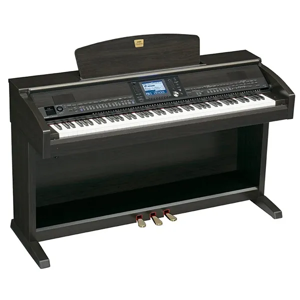 Music City – Tổng Kho Piano, Guitar, Organ | Dịch Vụ Giáo Dục Âm Nhạc