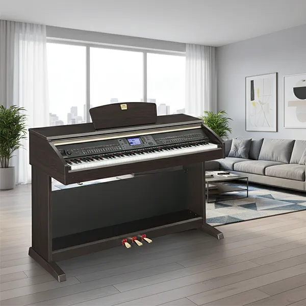 Music City – Tổng Kho Piano, Guitar, Organ | Dịch Vụ Giáo Dục Âm Nhạc
