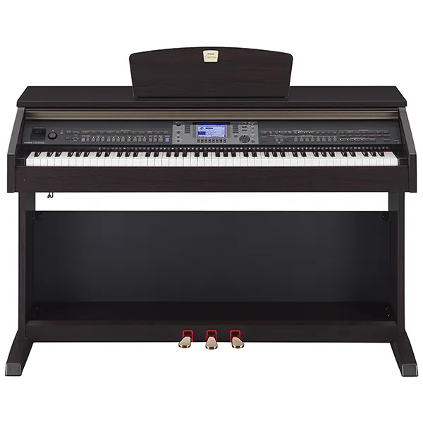 Music City – Tổng Kho Piano, Guitar, Organ | Dịch Vụ Giáo Dục Âm Nhạc