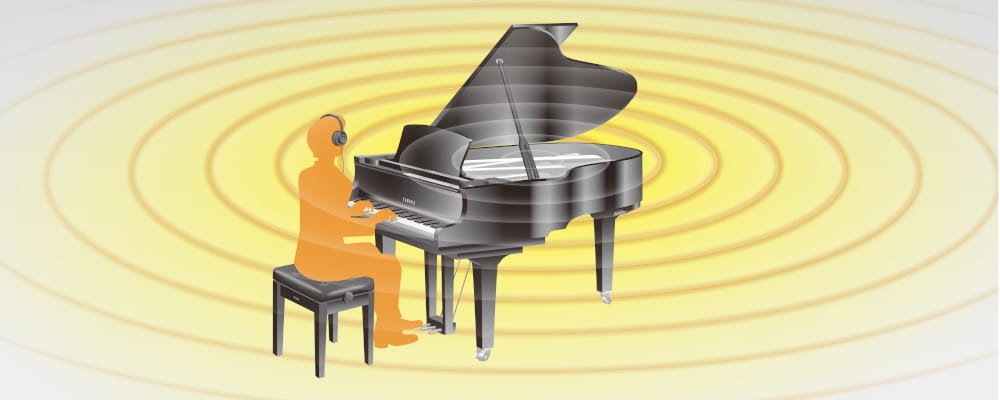 Music City – Tổng Kho Piano, Guitar, Organ | Dịch Vụ Giáo Dục Âm Nhạc