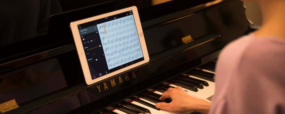 Music City – Tổng Kho Piano, Guitar, Organ | Dịch Vụ Giáo Dục Âm Nhạc