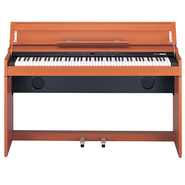 Music City – Tổng Kho Piano, Guitar, Organ | Dịch Vụ Giáo Dục Âm Nhạc