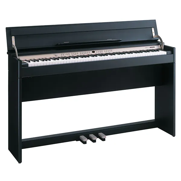 Music City – Tổng Kho Piano, Guitar, Organ | Dịch Vụ Giáo Dục Âm Nhạc