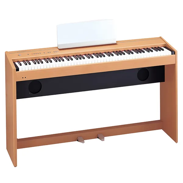 Music City – Tổng Kho Piano, Guitar, Organ | Dịch Vụ Giáo Dục Âm Nhạc