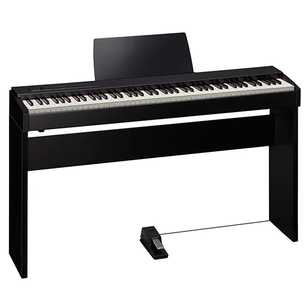 Music City – Tổng Kho Piano, Guitar, Organ | Dịch Vụ Giáo Dục Âm Nhạc