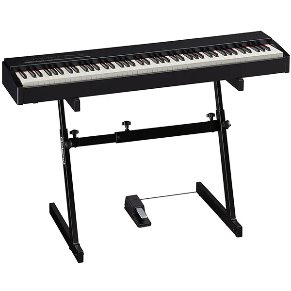 Music City – Tổng Kho Piano, Guitar, Organ | Dịch Vụ Giáo Dục Âm Nhạc