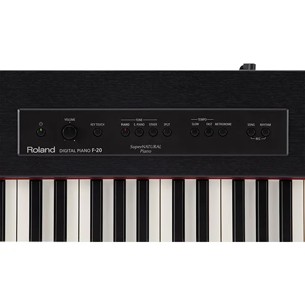 Music City – Tổng Kho Piano, Guitar, Organ | Dịch Vụ Giáo Dục Âm Nhạc