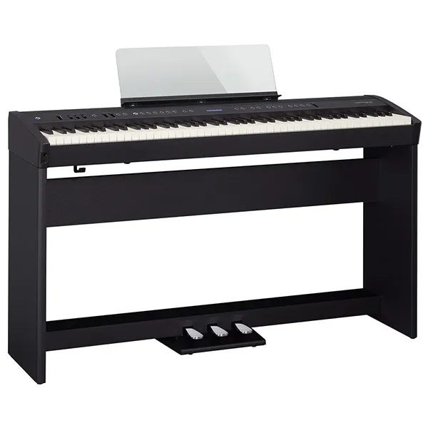 Music City – Tổng Kho Piano, Guitar, Organ | Dịch Vụ Giáo Dục Âm Nhạc