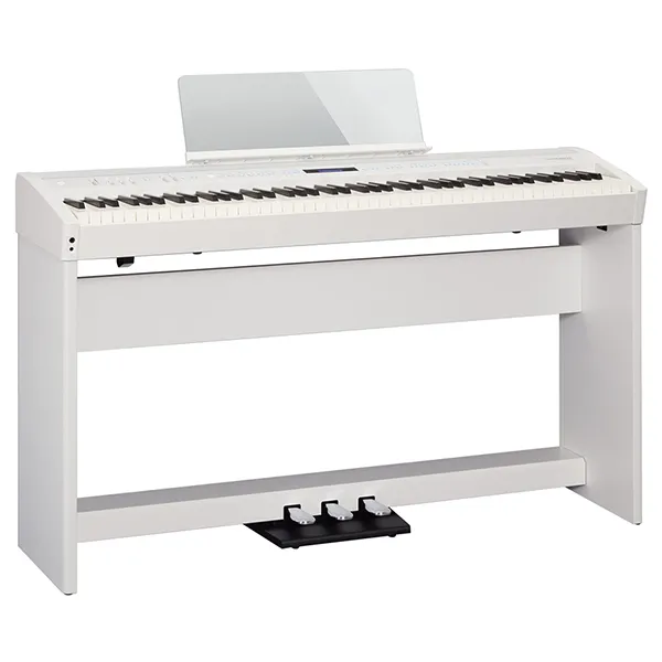 Music City – Tổng Kho Piano, Guitar, Organ | Dịch Vụ Giáo Dục Âm Nhạc