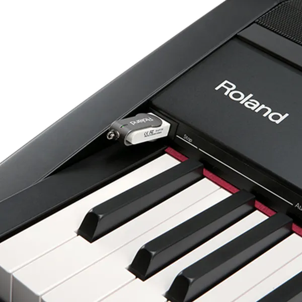 Music City – Tổng Kho Piano, Guitar, Organ | Dịch Vụ Giáo Dục Âm Nhạc
