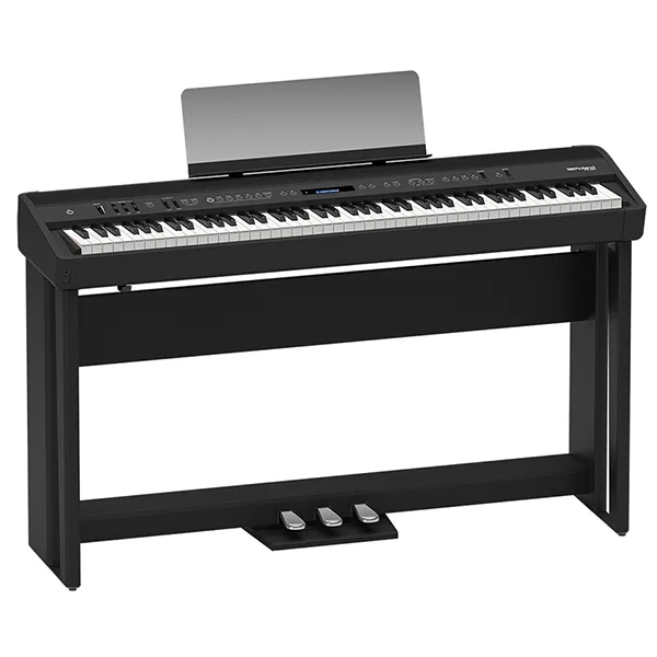 Music City – Tổng Kho Piano, Guitar, Organ | Dịch Vụ Giáo Dục Âm Nhạc