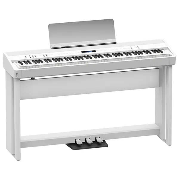Music City – Tổng Kho Piano, Guitar, Organ | Dịch Vụ Giáo Dục Âm Nhạc