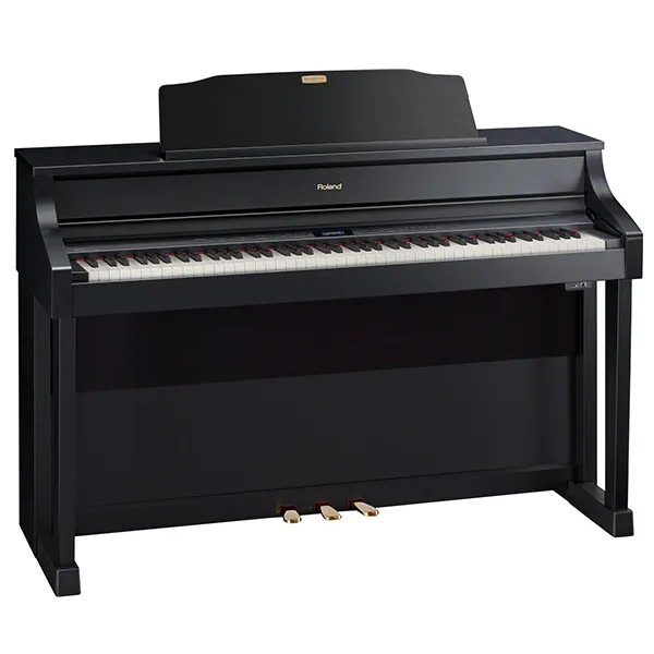 Music City – Tổng Kho Piano, Guitar, Organ | Dịch Vụ Giáo Dục Âm Nhạc