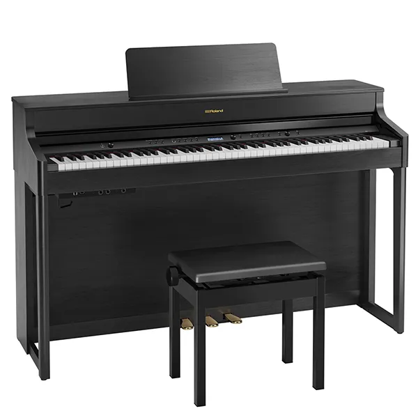 Music City – Tổng Kho Piano, Guitar, Organ | Dịch Vụ Giáo Dục Âm Nhạc