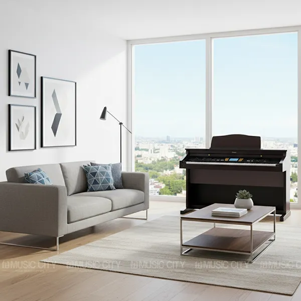 Music City – Tổng Kho Piano, Guitar, Organ | Dịch Vụ Giáo Dục Âm Nhạc