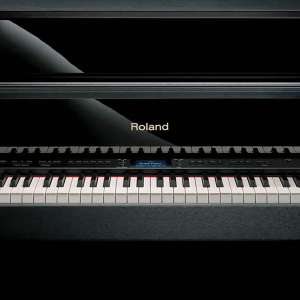 Music City – Tổng Kho Piano, Guitar, Organ | Dịch Vụ Giáo Dục Âm Nhạc