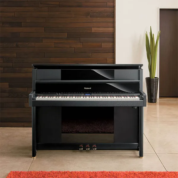 Music City – Tổng Kho Piano, Guitar, Organ | Dịch Vụ Giáo Dục Âm Nhạc