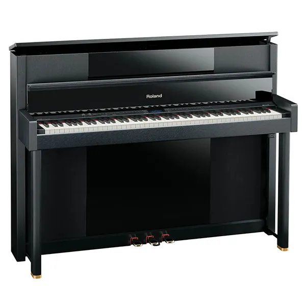 Music City – Tổng Kho Piano, Guitar, Organ | Dịch Vụ Giáo Dục Âm Nhạc