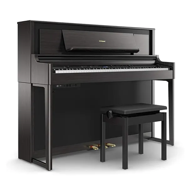 Music City – Tổng Kho Piano, Guitar, Organ | Dịch Vụ Giáo Dục Âm Nhạc