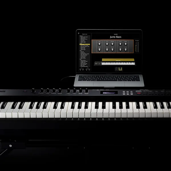Music City – Tổng Kho Piano, Guitar, Organ | Dịch Vụ Giáo Dục Âm Nhạc
