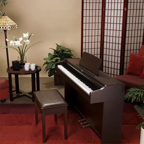 Music City – Tổng Kho Piano, Guitar, Organ | Dịch Vụ Giáo Dục Âm Nhạc