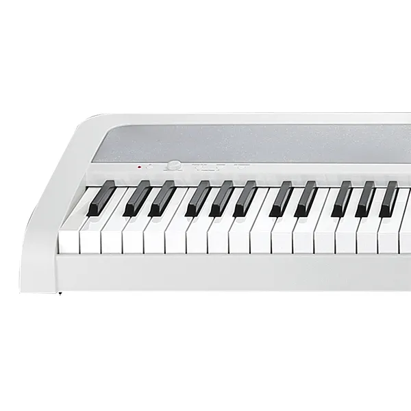 dan-piano-korg-b1-musiccity