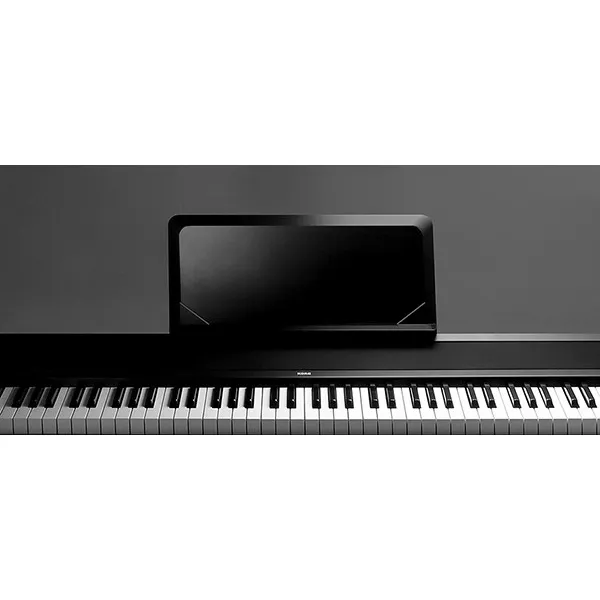 dan-piano-korg-b1-musiccity