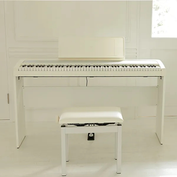 dan-piano-korg-b2-musiccity