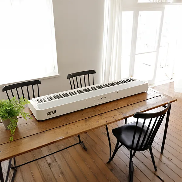dan-piano-korg-b2-musiccity