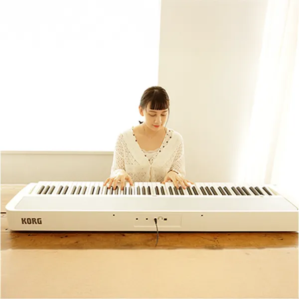 dan-piano-korg-b2-musiccity