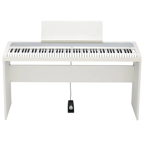Music City – Tổng Kho Piano, Guitar, Organ | Dịch Vụ Giáo Dục Âm Nhạc